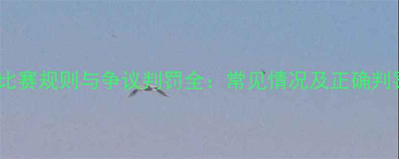 图片 羽毛球比赛规则与争议判罚全：常见情况及正确判罚标准1