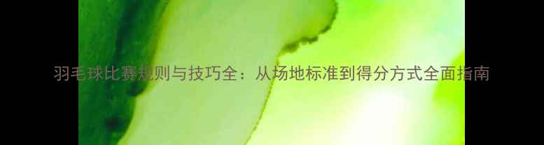 图片 羽毛球比赛规则与技巧全：从场地标准到得分方式全面指南