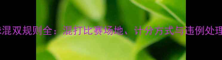 图片 羽毛球混双规则全：混打比赛场地、计分方式与违例处理指南2