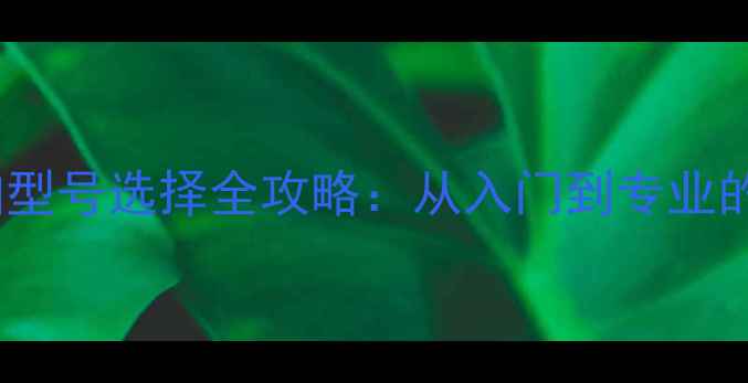 图片 羽毛球球拍型号选择全攻略：从入门到专业的高效指南1