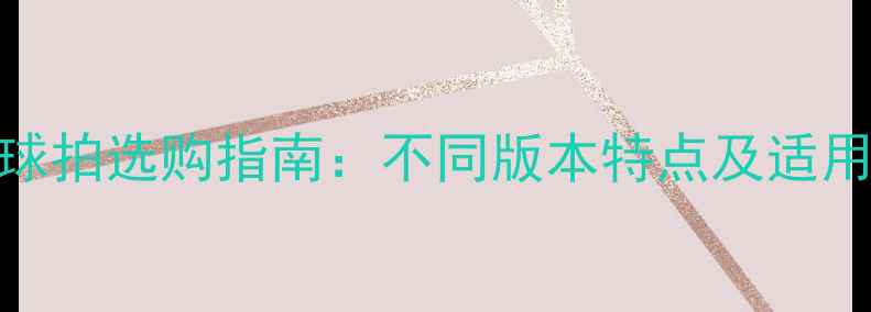 图片 羽毛球球拍选购指南：不同版本特点及适用人群全