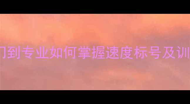 图片 羽毛球球速等级划分：从入门到专业如何掌握速度标号及训练技巧（附最新国家标准）2