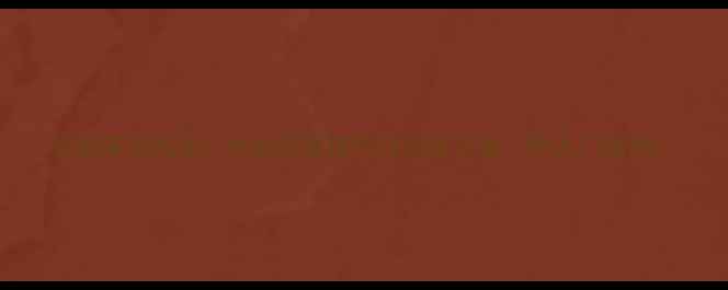 图片 羽毛球球风全：六大流派技巧与训练方案（附入门指南）