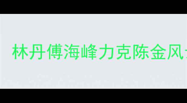 图片 羽毛球男双经典战役：林丹傅海峰力克陈金风云组合夺冠历程深度1