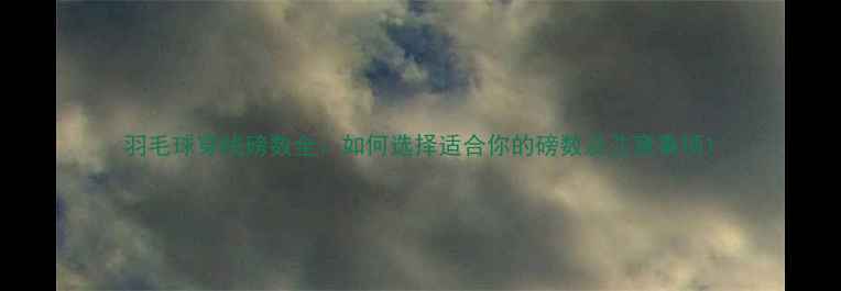 图片 羽毛球穿线磅数全：如何选择适合你的磅数及注意事项1