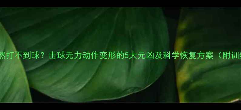 图片 羽毛球突然打不到球？击球无力动作变形的5大元凶及科学恢复方案（附训练动图）2