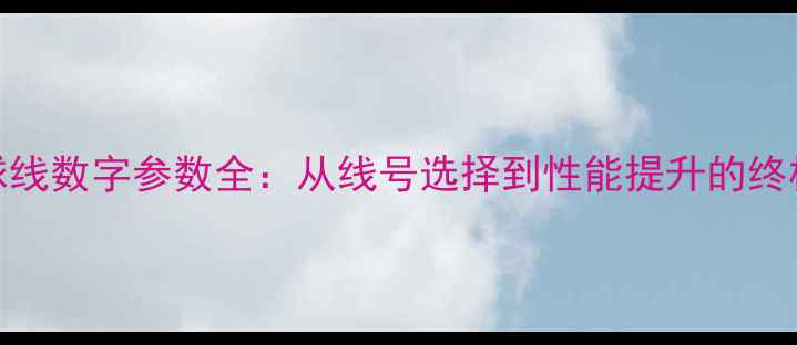 图片 羽毛球线数字参数全：从线号选择到性能提升的终极指南