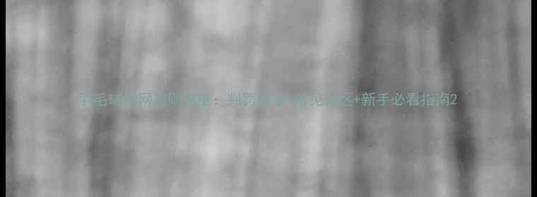 图片 羽毛球触网规则深度：判罚标准+常见误区+新手必看指南2