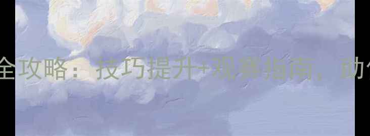 图片 羽毛球赛事全攻略：技巧提升+观赛指南，助你全面备战2