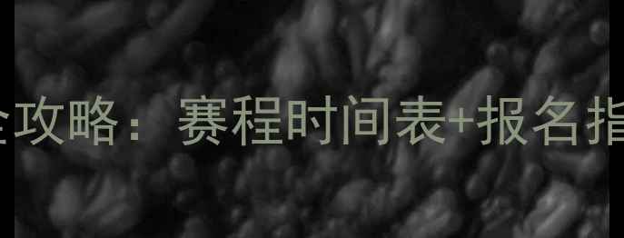图片 羽毛球赛事全攻略：赛程时间表+报名指南+观赛技巧