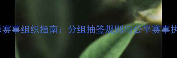 图片 羽毛球赛事组织指南：分组抽签规则与公平赛事执行全2