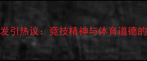 图片 羽毛球赛场冲突频发引热议：竞技精神与体育道德的平衡之道（深度）