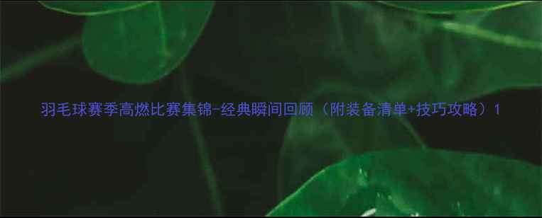 图片 羽毛球赛季高燃比赛集锦-经典瞬间回顾（附装备清单+技巧攻略）1