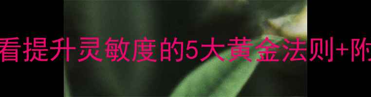 图片 羽毛球零基础必看提升灵敏度的5大黄金法则+附赠训练视频链接