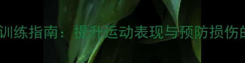 图片 羽毛球韧带强化训练指南：提升运动表现与预防损伤的12周科学方案2