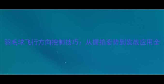 图片 羽毛球飞行方向控制技巧：从握拍姿势到实战应用全