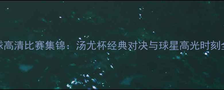 图片 羽毛球高清比赛集锦：汤尤杯经典对决与球星高光时刻全记录