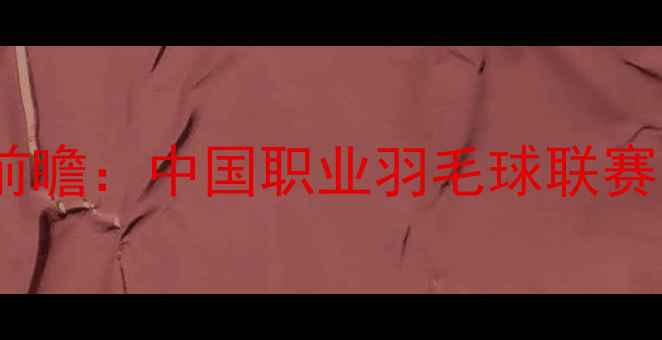 图片 羽超联赛赛季前瞻：中国职业羽毛球联赛的破局与新生1