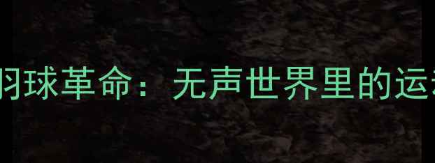 图片 聋哑人士的羽球革命：无声世界里的运动公益项目1