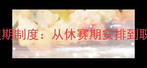 图片 职业球员假期制度：从休赛期安排到职业规划全2