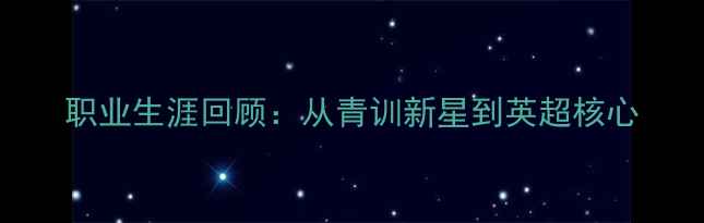 图片 职业生涯回顾：从青训新星到英超核心