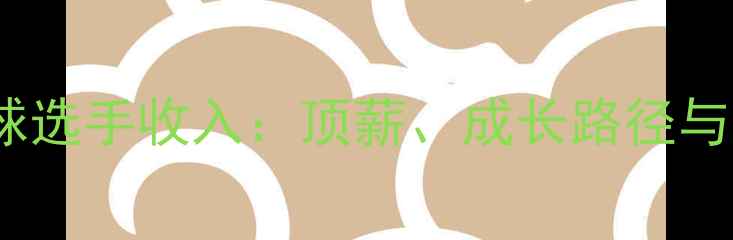 图片 职业羽毛球选手收入：顶薪、成长路径与职业寿命1