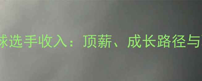 图片 职业羽毛球选手收入：顶薪、成长路径与职业寿命2