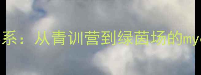 图片 职业足球青训体系：从青训营到绿茵场的myclub球员成长全