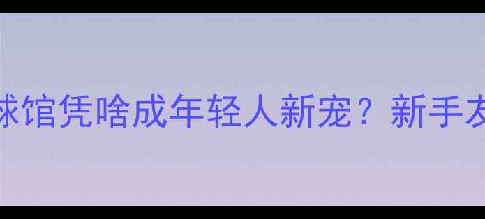 图片 肇庆必打卡！这家羽毛球馆凭啥成年轻人新宠？新手友好+运动指南全公开！2