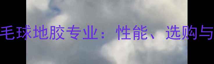 图片 胜利塑胶羽毛球地胶专业：性能、选购与维护全指南