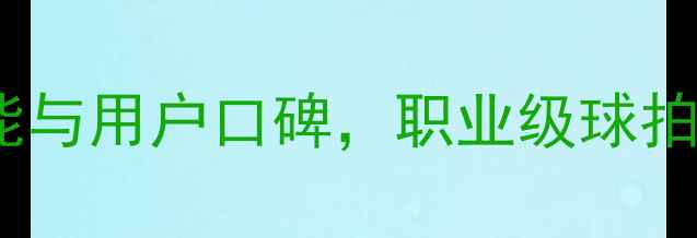 图片 胜利羽毛球1号专业评测：性能与用户口碑，职业级球拍如何助力业余爱好者提升球技
