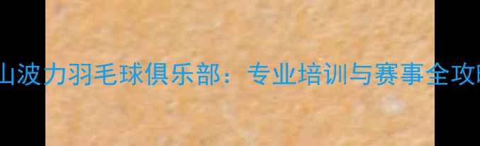 图片 舟山波力羽毛球俱乐部：专业培训与赛事全攻略1