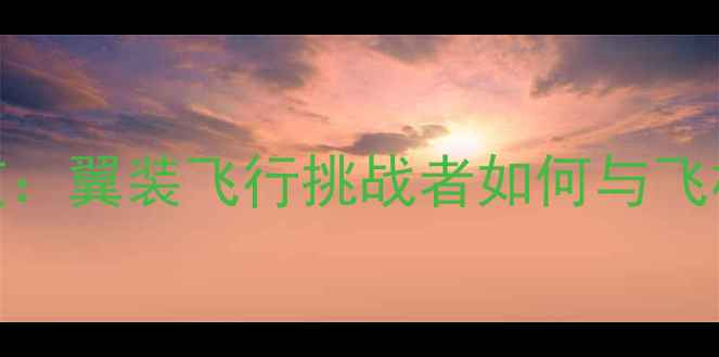 图片 航空竞技新赛道：翼装飞行挑战者如何与飞机比拼速度极限