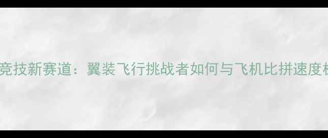 图片 航空竞技新赛道：翼装飞行挑战者如何与飞机比拼速度极限1