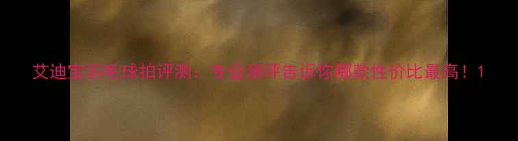 图片 艾迪宝羽毛球拍评测：专业测评告诉你哪款性价比最高！1