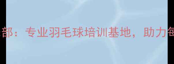 图片 芜湖飞宇羽毛球俱乐部：专业羽毛球培训基地，助力每一位球友提升球技1