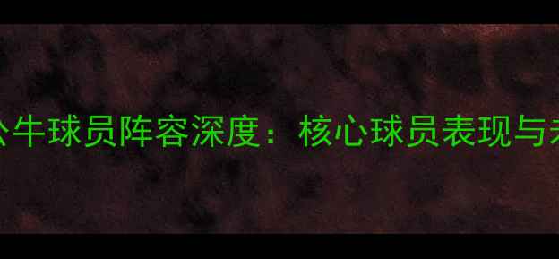 图片 芝加哥公牛球员阵容深度：核心球员表现与未来展望
