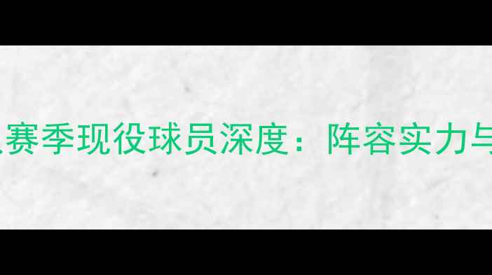 图片 芝加哥公牛队赛季现役球员深度：阵容实力与战术突破全1