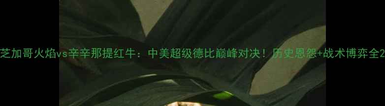 图片 芝加哥火焰vs辛辛那提红牛：中美超级德比巅峰对决！历史恩怨+战术博弈全2