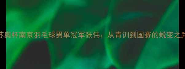图片 苏奥杯南京羽毛球男单冠军张伟：从青训到国赛的蜕变之路