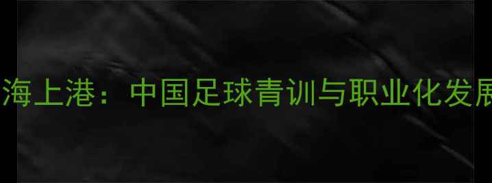 图片 苏宁青训vs上海上港：中国足球青训与职业化发展的巅峰对决1
