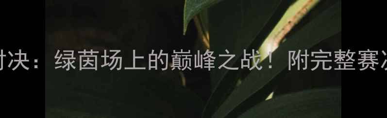 图片 苏州vs天津足球对决：绿茵场上的巅峰之战！附完整赛况回顾与战术分析
