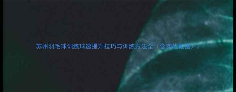 图片 苏州羽毛球训练球速提升技巧与训练方法全（含实战数据）2