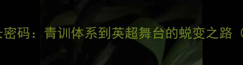 图片 英国90后球员成长密码：青训体系到英超舞台的蜕变之路（含职业发展全）1