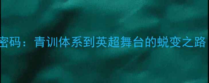 图片 英国90后球员成长密码：青训体系到英超舞台的蜕变之路（含职业发展全）2