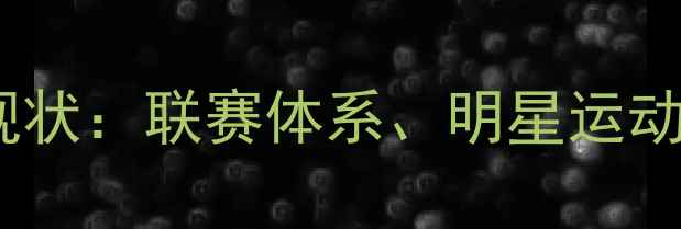 图片 英国乒乓球发展现状：联赛体系、明星运动员与青训计划全1