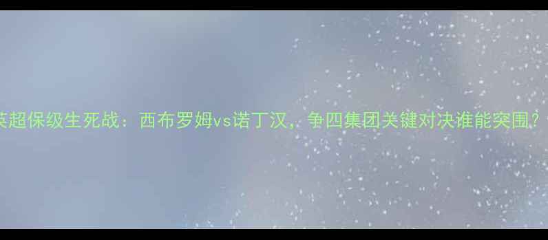 图片 英超保级生死战：西布罗姆vs诺丁汉，争四集团关键对决谁能突围？2