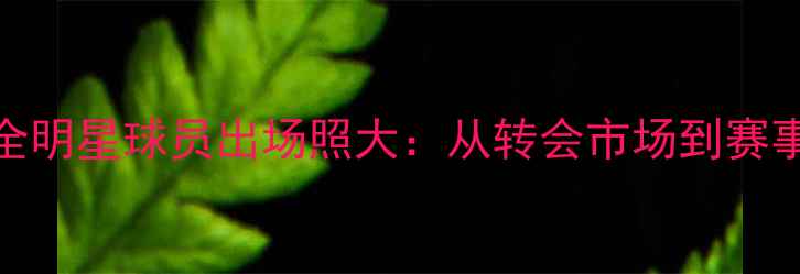 图片 英超全明星球员出场照大：从转会市场到赛事实录