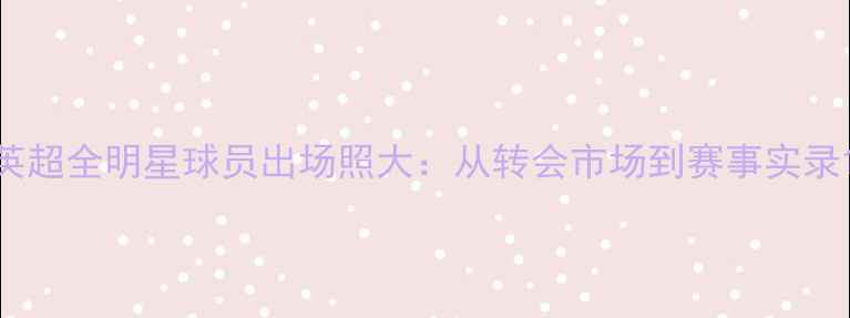 图片 英超全明星球员出场照大：从转会市场到赛事实录1