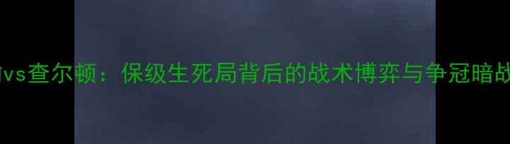 图片 英超焦点战伯明翰vs查尔顿：保级生死局背后的战术博弈与争冠暗战（赛季第28轮）2